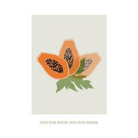 Komar Poster Cultivated Papaya Pflanzen B/L: ca. 30x40 cm Cultivated Papaya - (30,00/40,00cm) - Komar
