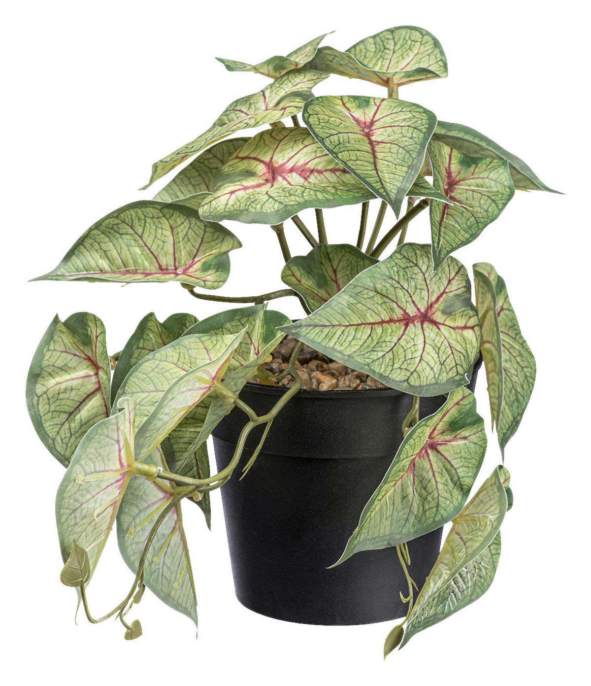 Kunstpflanze Caladium/Coleus/Fittonia