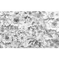 Komar Fototapete Shades Black and White B/L: ca. 400x250 cm Shades Black and White - (400,00/250,00cm) - Komar
