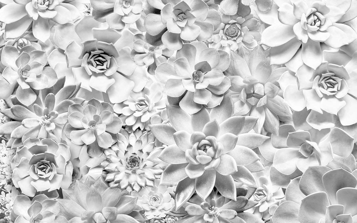 Komar Fototapete Shades Black and White B/L: ca. 400x250 cm Shades Black and White - (400,00/250,00cm) - Komar