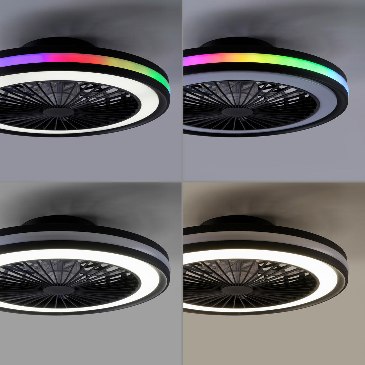 Just Light LED-Deckenventilator schwarz B/H/L: ca. 45,5x14x45,5 cm max. 36 W LED-Deckenventilator_Brandon - schwarz (45,50/45,50/14,00cm) - Just Light