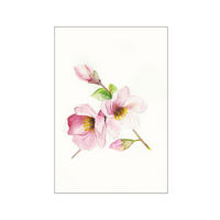 Komar Poster Magnolia Breathe Magnolie B/L: ca. 30x40 cm Magnolia Breathe - (30,00/40,00cm) - Komar