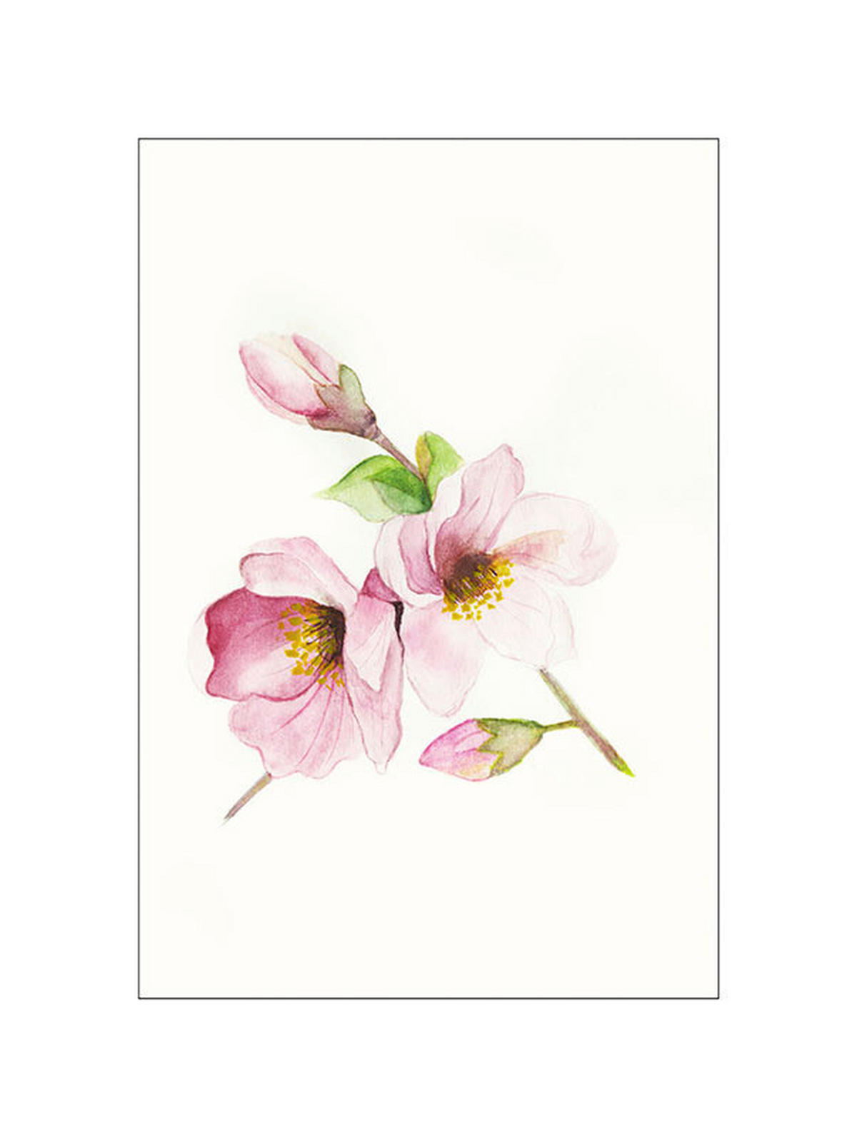 Komar Poster Magnolia Breathe Magnolie B/L: ca. 30x40 cm Magnolia Breathe - (30,00/40,00cm) - Komar