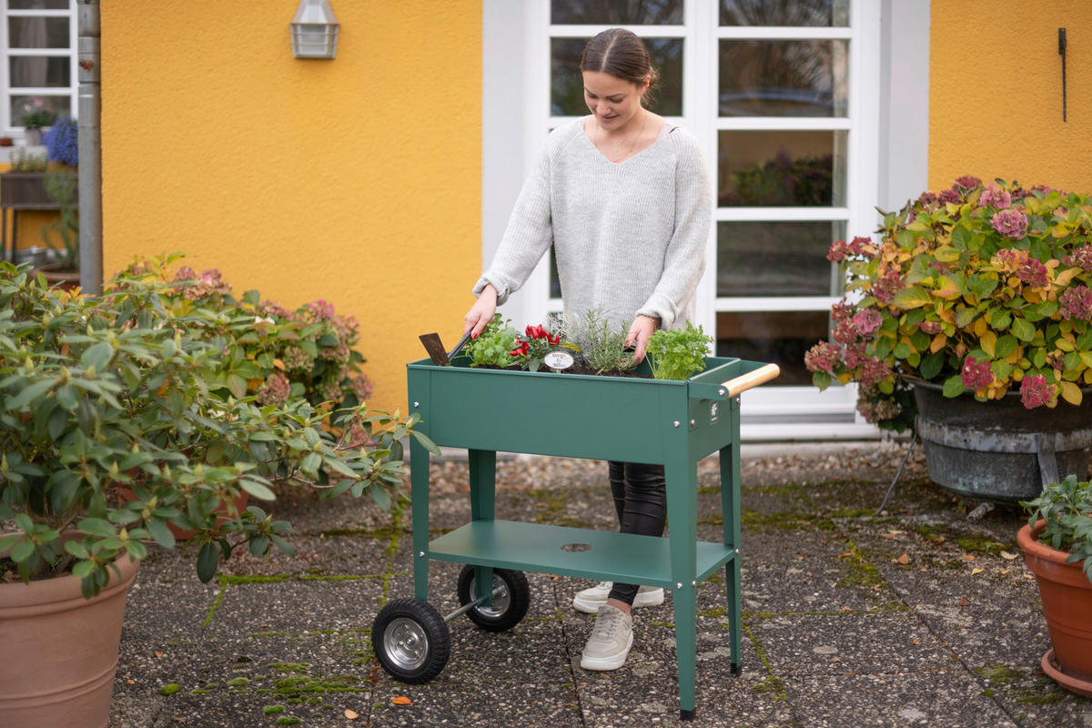 Herstera Garden Kräuterfabrik Urban grün Metall B/H/L: ca. 50x80x85 cm Urban - grün (85,00/50,00/80,00cm) - Herstera Garden
