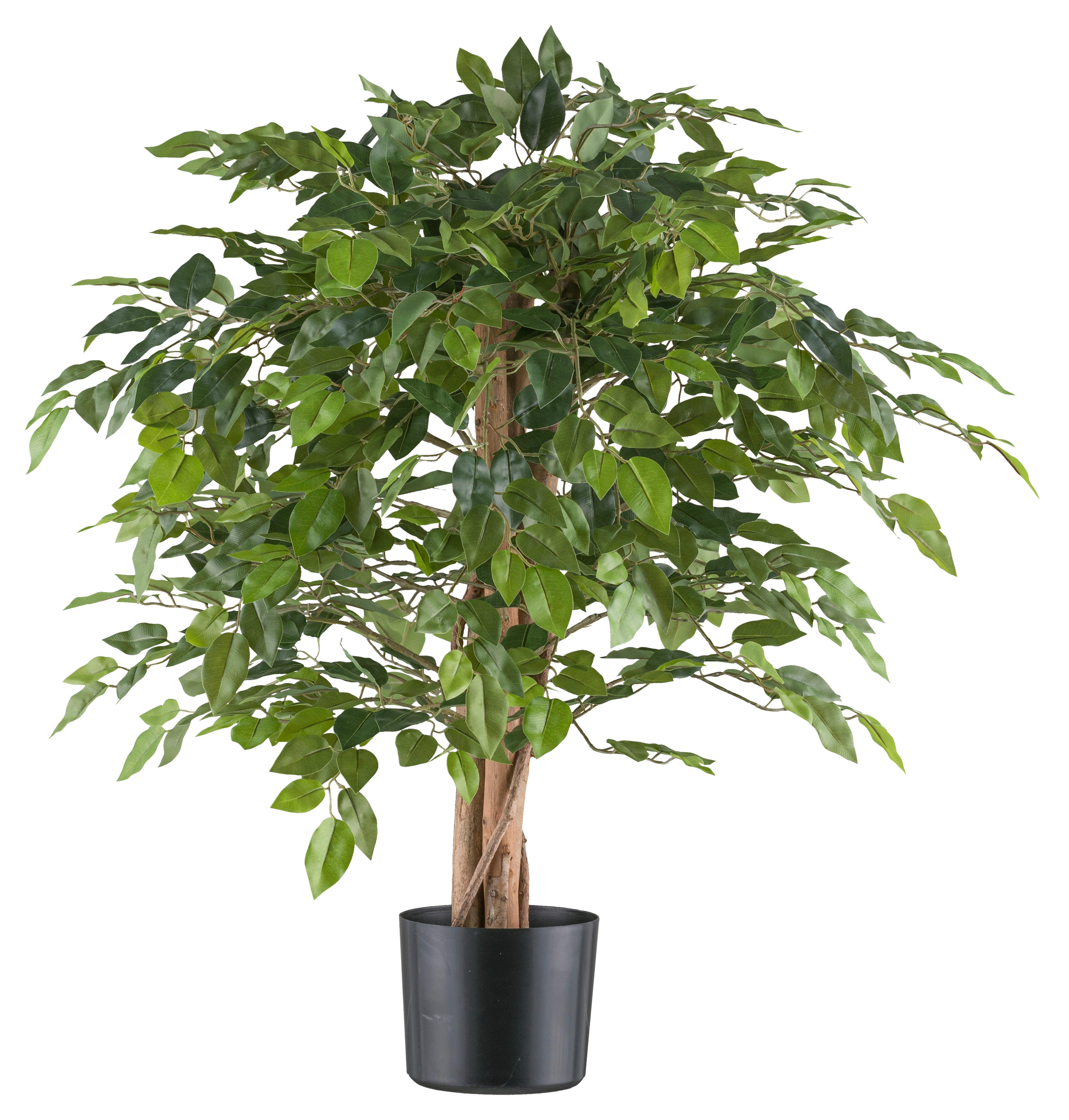 Kunstpflanze Ficus Benjamina grün Kunststoff B/H/L: ca. 21x85x21 cm günstig online kaufen