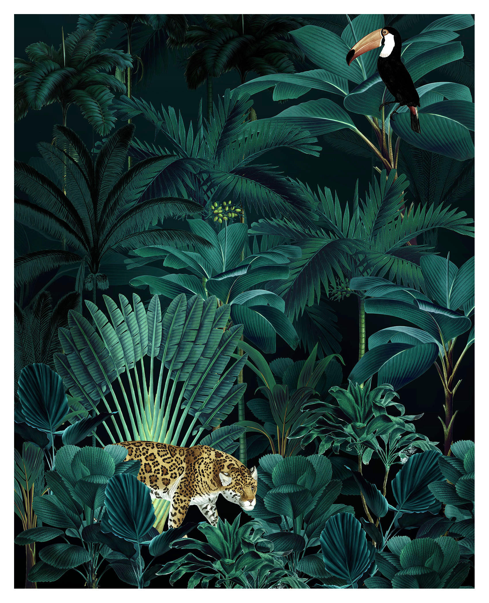 Komar Fototapete Jungle Night Dschungel B/L: ca. 200x250 cm Jungle Night - (200,00/250,00cm) - Komar