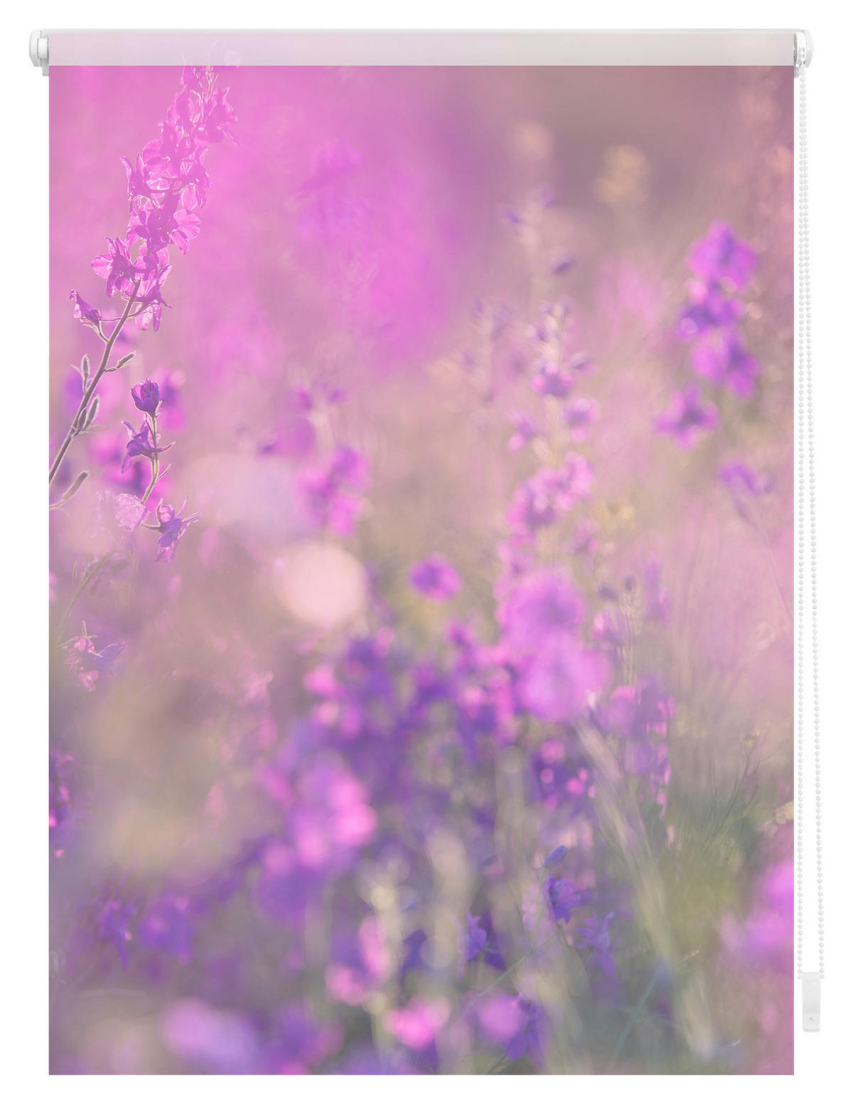 Verdunkelungsrollo Blumenwiese fuchsia B/L: ca. 60x150 cm Blumenwiese - fuchsia/violett (60,00/150,00cm) - LICHTBLICK