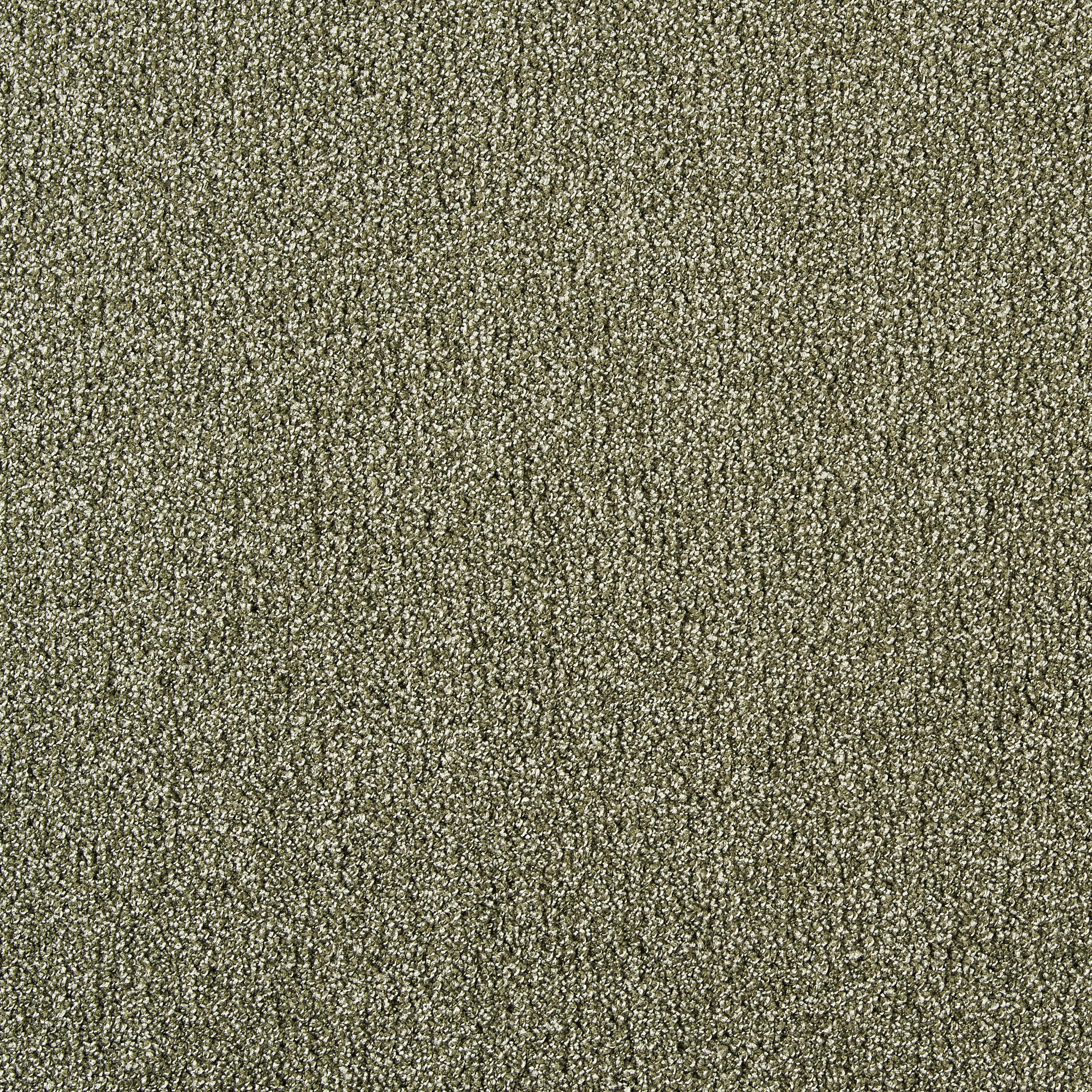 Teppichboden Java grün B: ca. 400 cm pro m² Java - grün (400,00cm)