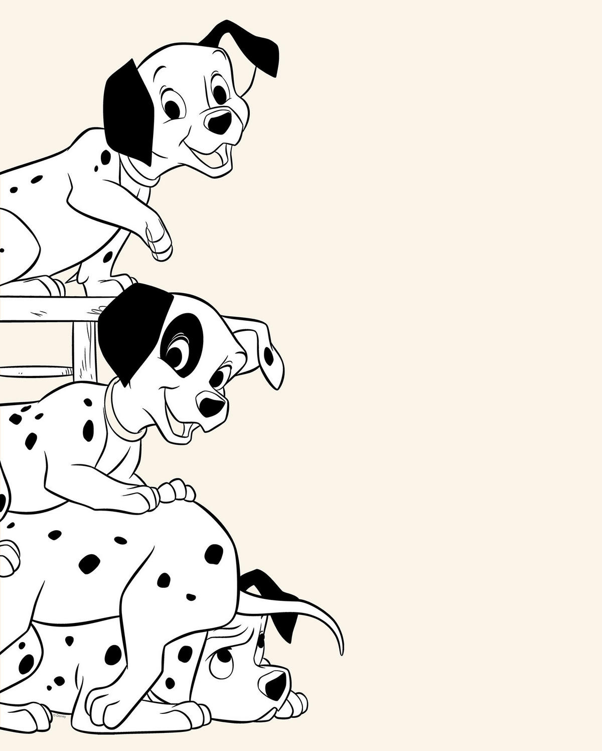Komar Wandbild 101 Dalmatiner Playing Disney B/L: ca. 40x50 cm ▷ online bei  POCO kaufen
