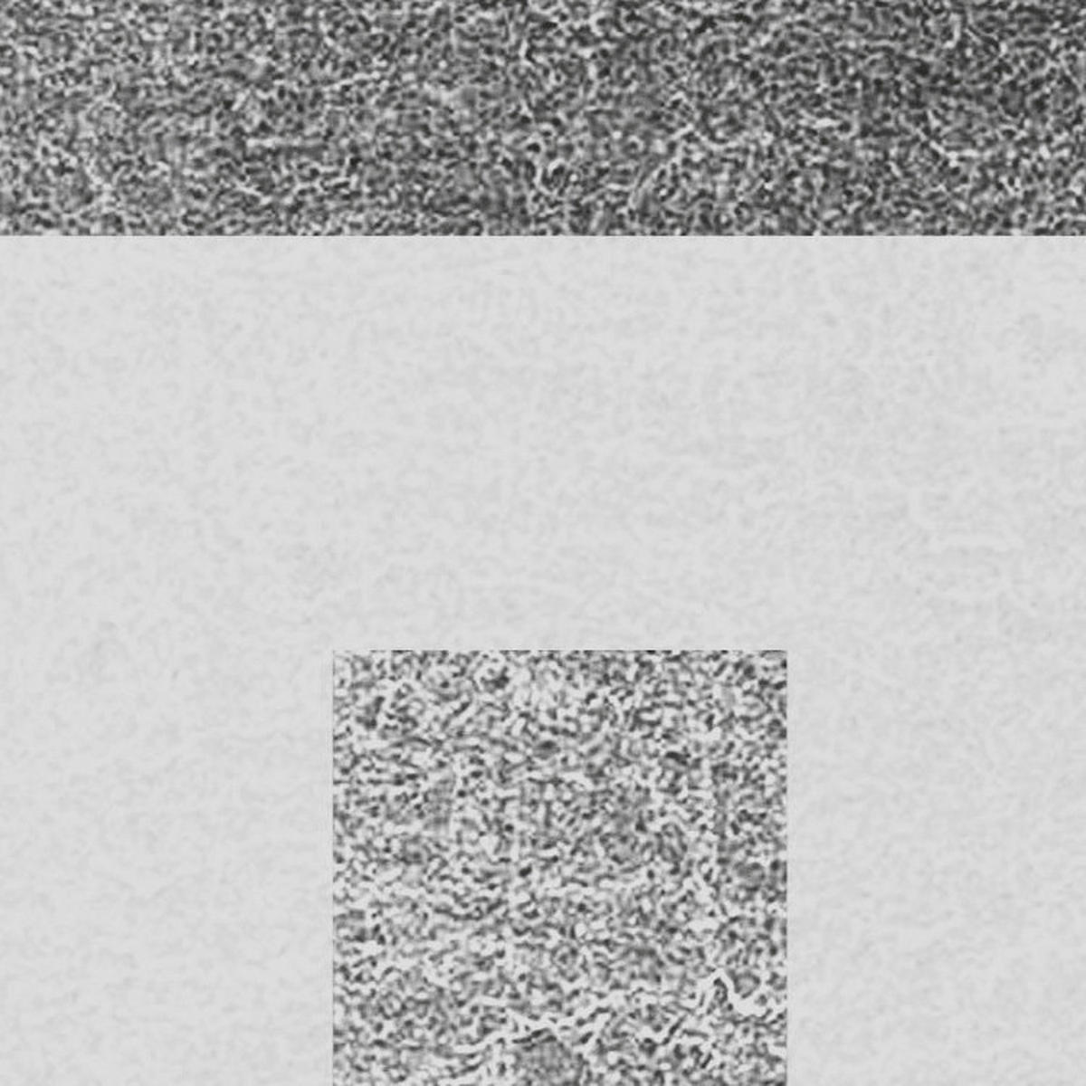 Komar Fototapete Jeux de Lignes B/L: ca. 300x250 cm Jeux de Lignes - (300,00/250,00cm) - Komar