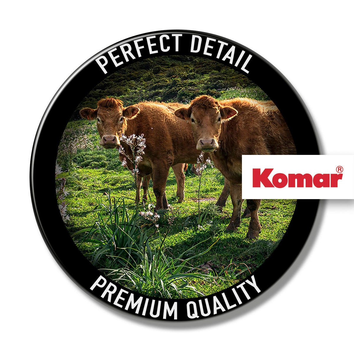 Komar Fototapete Kuhparadies B/L: ca. 450x280 cm Kuhparadies - (450,00/280,00cm) - Komar
