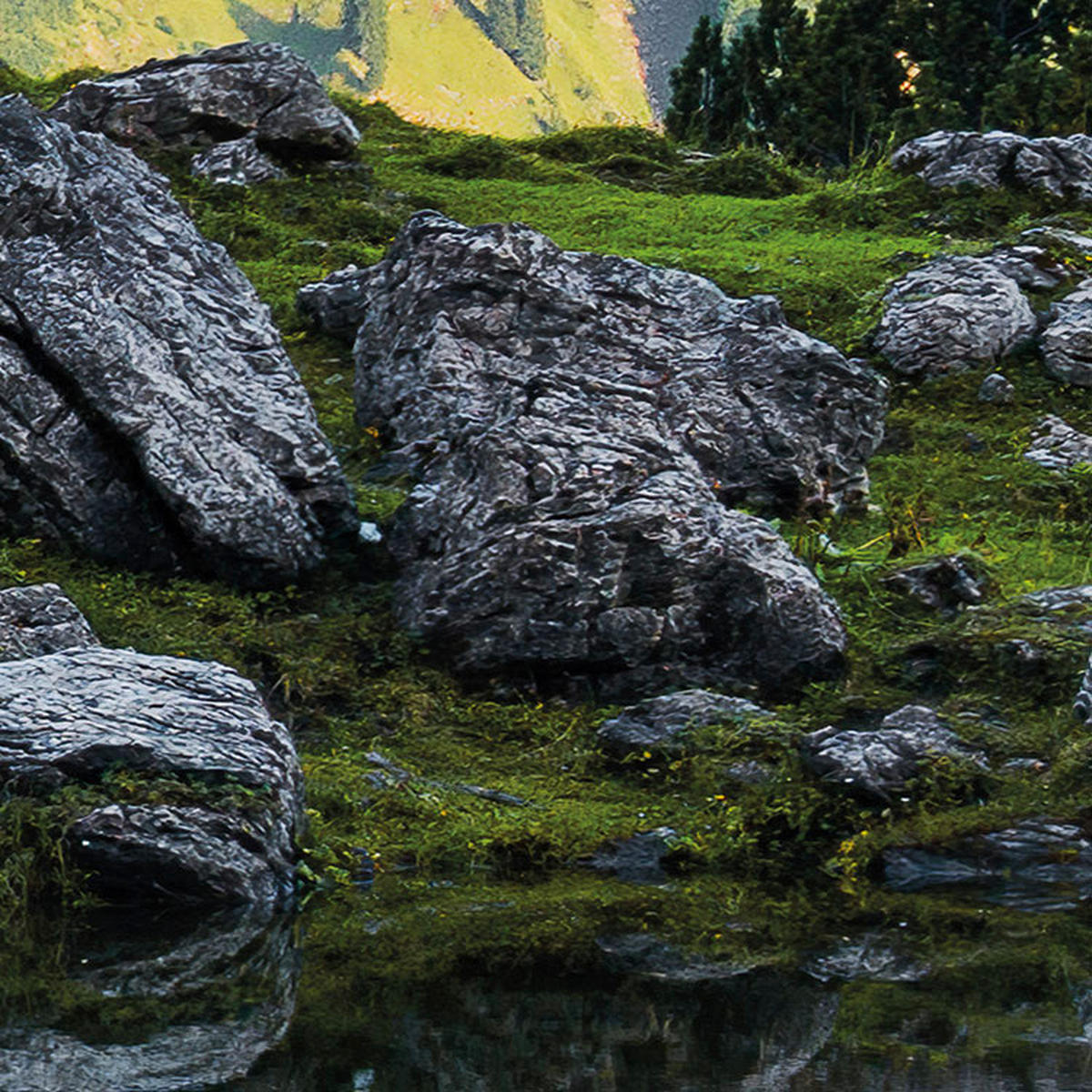 Komar Fototapete Allgäu Spiegel B/L: ca. 450x280 cm Allgäu Spiegel - (450,00/280,00cm) - Komar