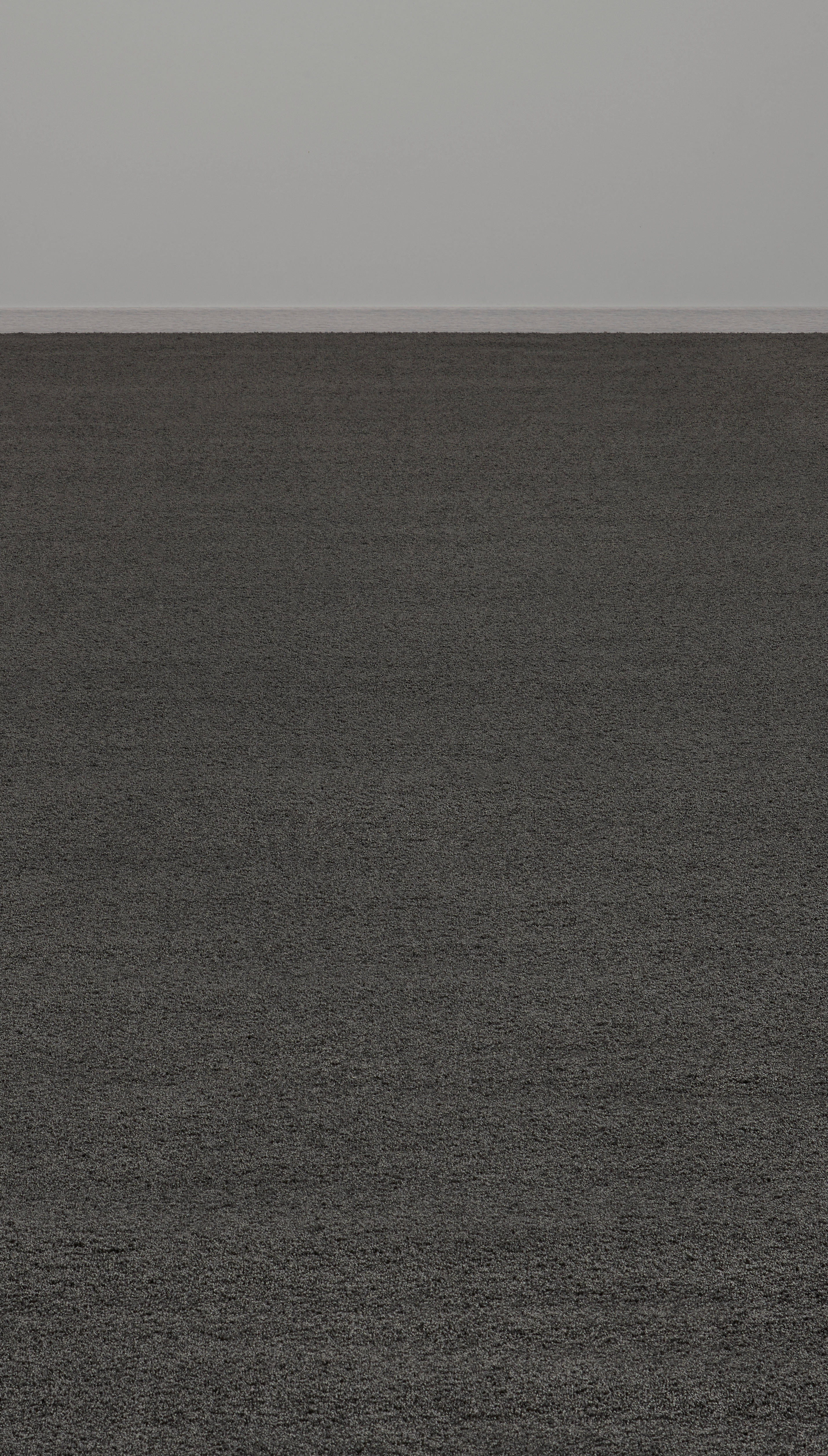 Teppichboden Focus schwarz B: ca. 400 cm pro m² Focus - schwarz (400,00cm)