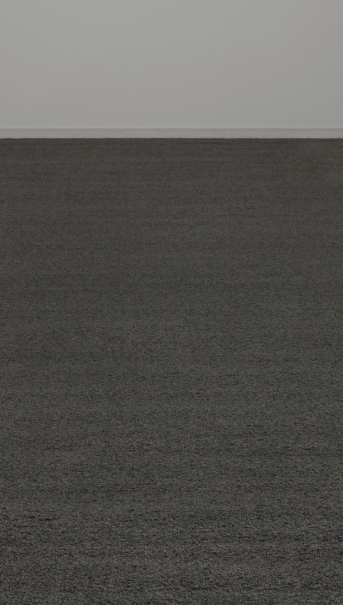 Teppichboden Focus schwarz B: ca. 400 cm pro m² Focus - schwarz (400,00cm)