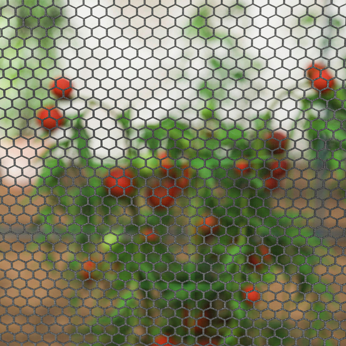 Outsunny Pflanzenschutznetz schwarz Kunststoff B/H/L: ca. 120x120x249 cm Pflanzenschutznetz - schwarz (249,00/120,00/120,00cm) - Outsunny