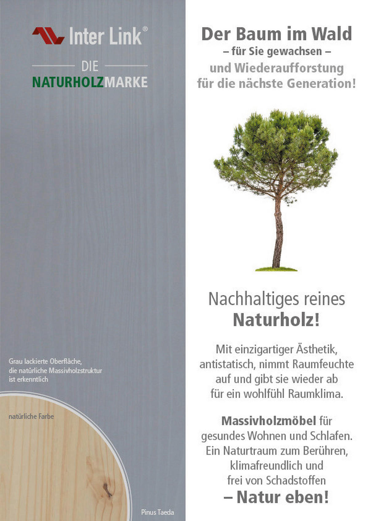 Funktionsbett Malte grau Liegefläche B/L: ca. 90x200 cm Malte - grau (208,00/97,00/62,00cm) - Inter Link