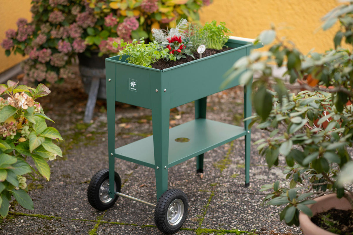 Herstera Garden Kräuterfabrik Urban grün Metall B/H/L: ca. 50x80x85 cm Urban - grün (85,00/50,00/80,00cm) - Herstera Garden