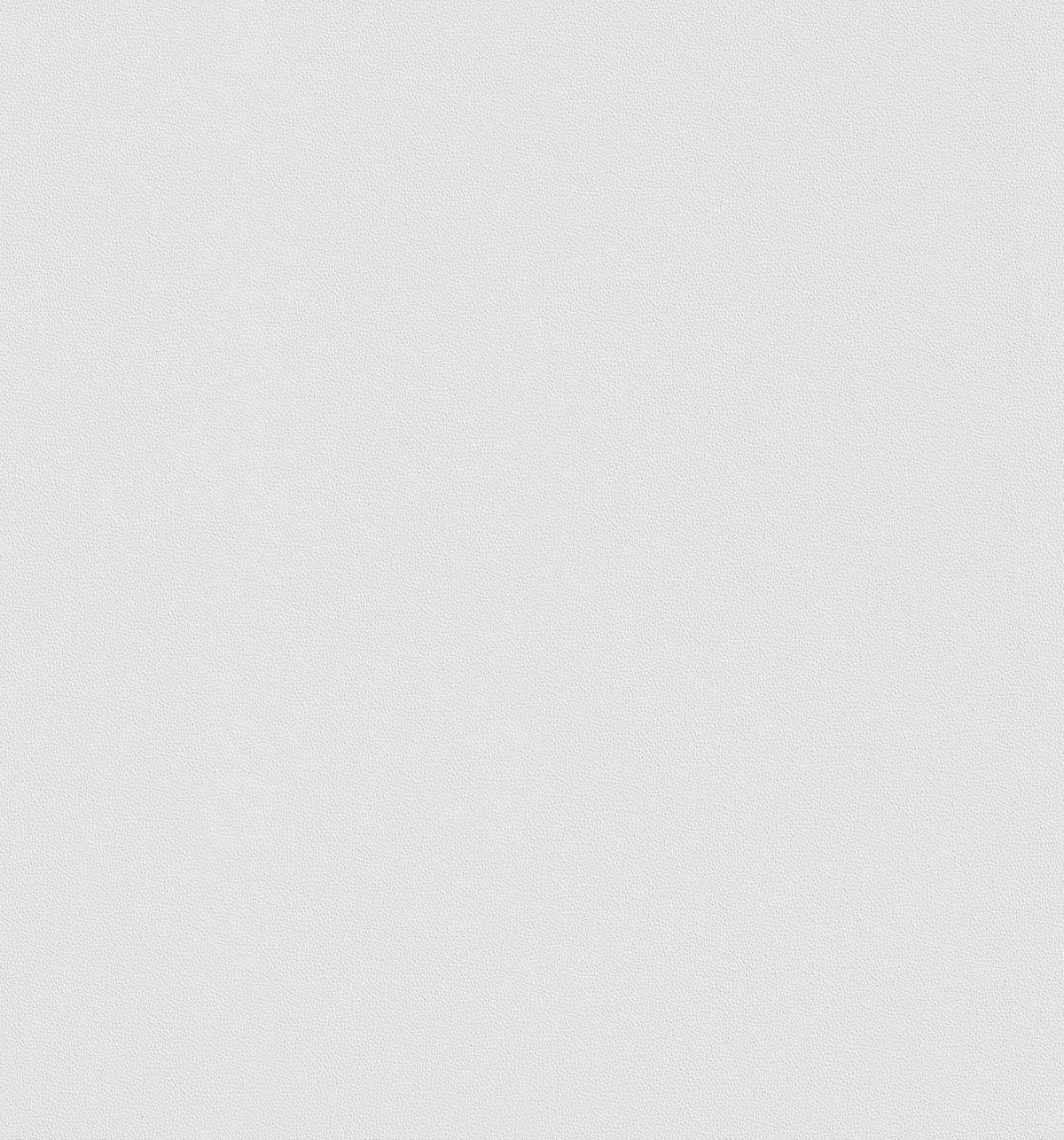 Erfurt Vliestapete Basic Basic weiß B/L: ca. 53x1005 cm Basic - weiß (53,00/1005,00cm) - Erfurt