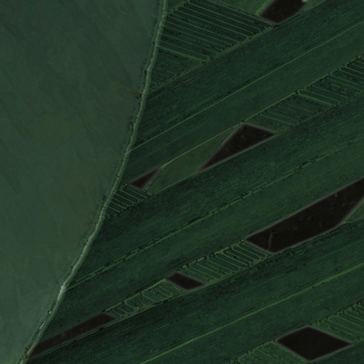 Komar Fototapete Monstera on Marble B/L: ca. 200x250 cm Monstera on Marble - (200,00/250,00cm) - Komar