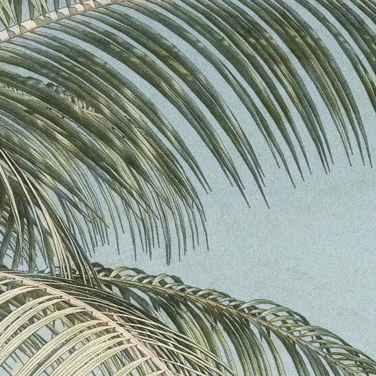 Komar Fototapete Palm Oasis B/L: ca. 200x280 cm Palm Oasis - (200,00/280,00cm) - Komar
