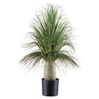 Kunstpflanze Beaucarnea grün Kunststoff B/H/L: ca. 19x59x19 cm Beaucarnea - grün (19,00/19,00/59,00cm)