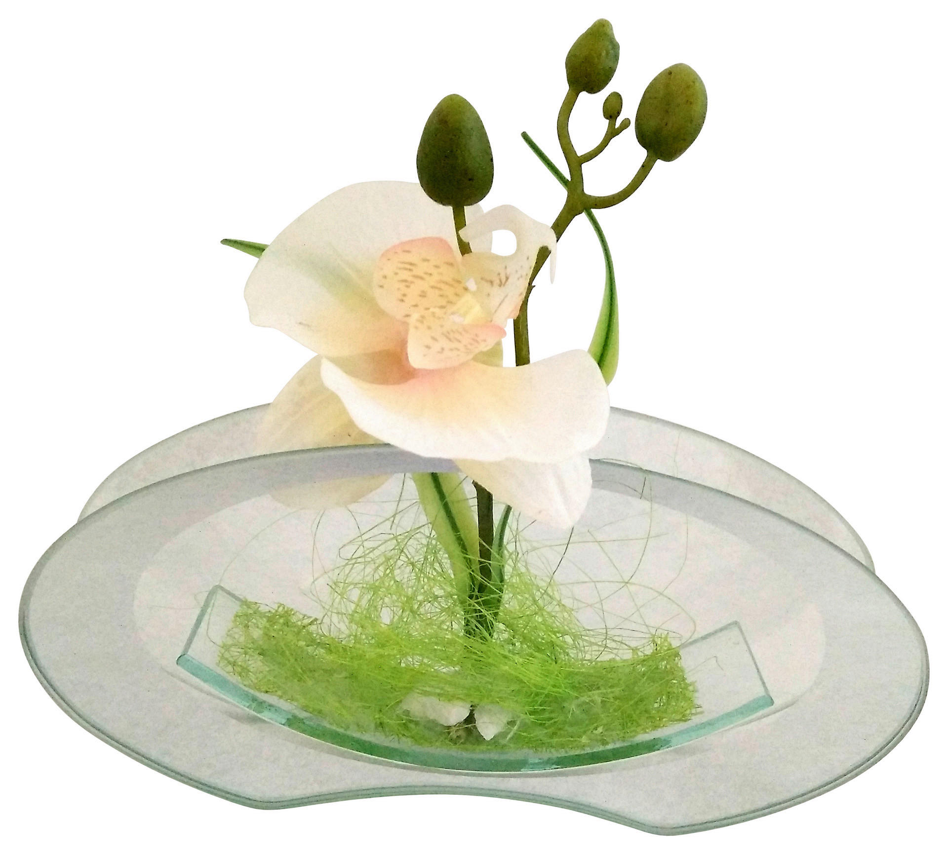 POCOline Vase klar Glas B/H/L: ca. 4,5x9,5x20 cm Spiegelvase - klar (20,00/4,50/9,50cm) - POCOline
