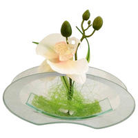 POCOline Vase klar Glas B/H/L: ca. 4,5x9,5x20 cm Spiegelvase - klar (20,00/4,50/9,50cm) - POCOline