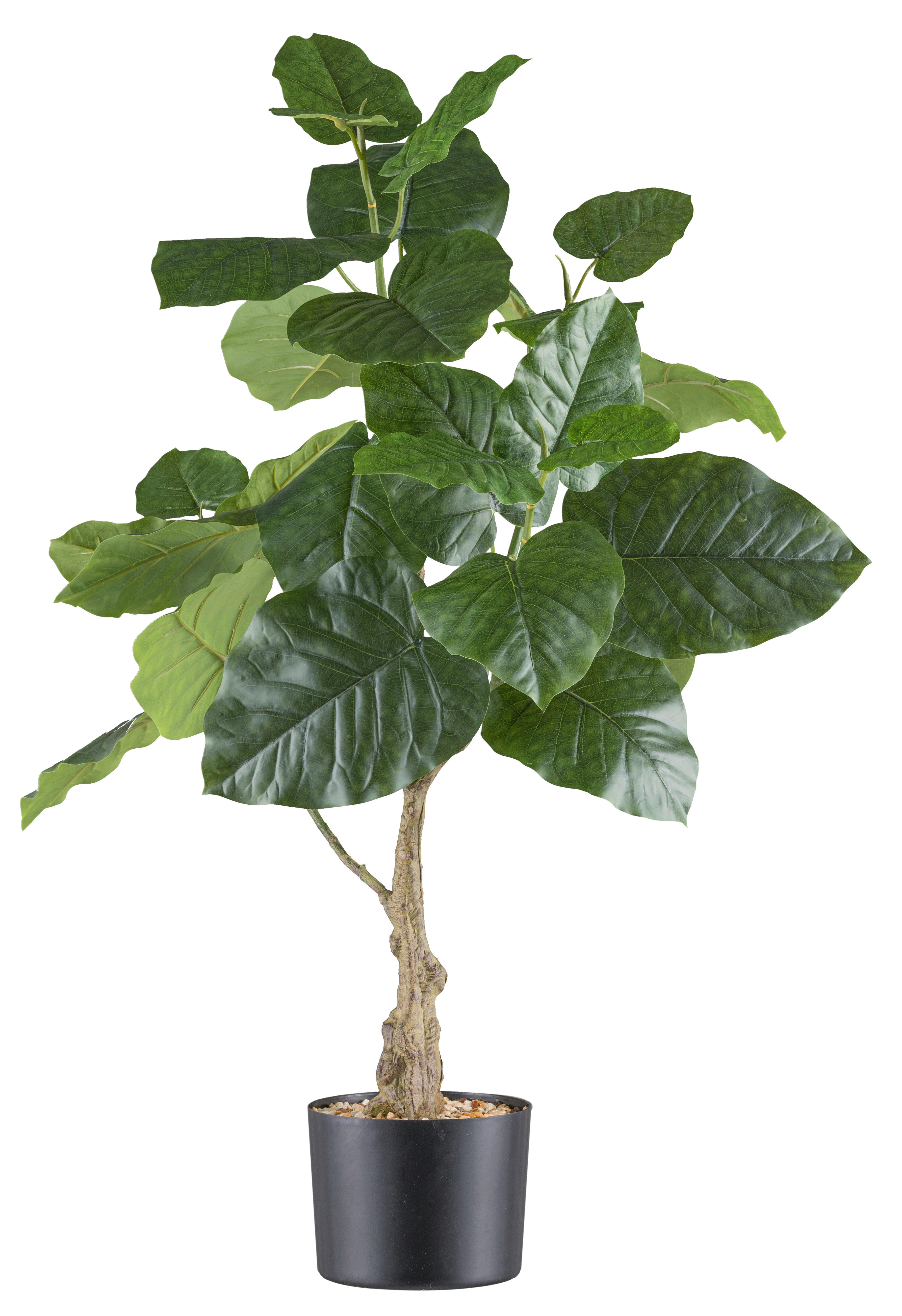 Kunstpflanze Ficus Petiolaris grün Kunststoff B/H/L: ca. 21x85x21 cm günstig online kaufen