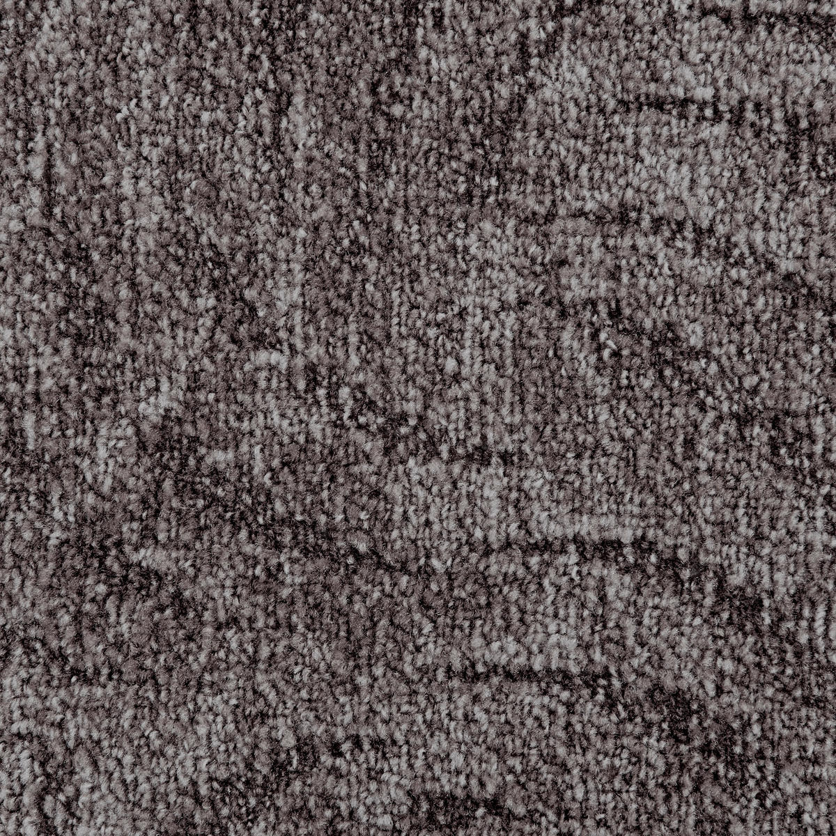 Teppichboden Milano anthrazit B: ca. 500 cm pro m² Milano - anthrazit (500,00cm)