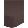 Baumwoll Spannbetttuch Satin Spannbetttuch-Satin 100x200cm - braun (100,00/200,00cm) - HIP