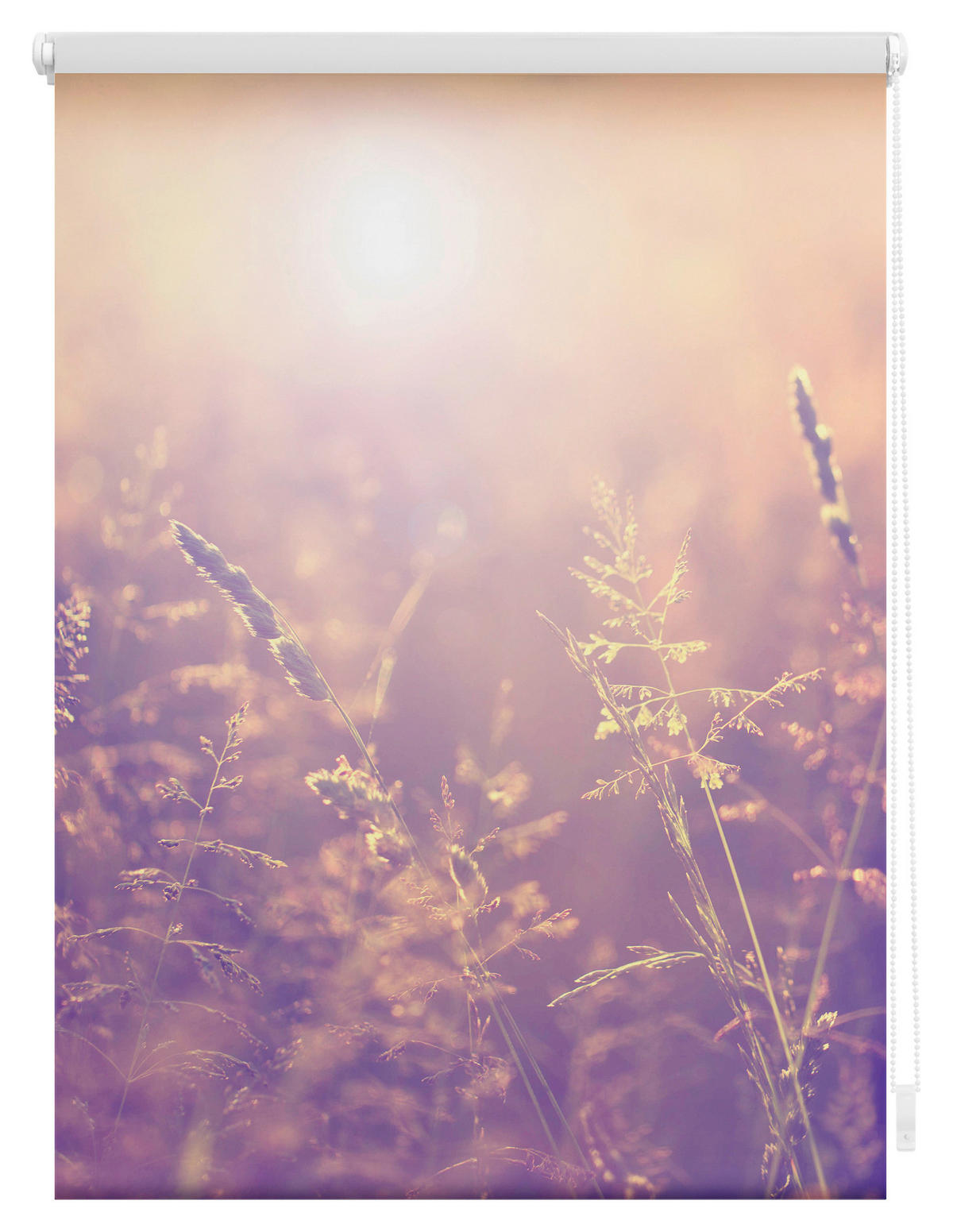Verdunkelungsrollo Sommerabend orange B/L: ca. 90x150 cm Sommerabend - orange (90,00/150,00cm) - LICHTBLICK