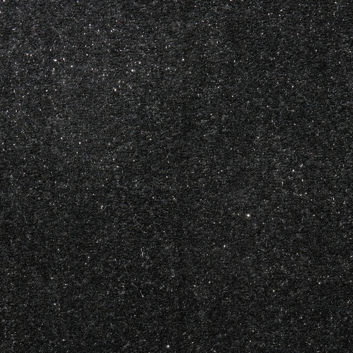 Teppichboden Harrow Flash schwarz B: ca. 500 cm pro m² Harrow Flash - schwarz (500,00cm)
