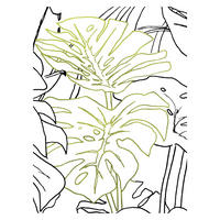 Komar Poster Monstera Borsigiana Pflanzen B/L: ca. 40x50 cm Monstera Borsigiana - (40,00/50,00cm) - Komar