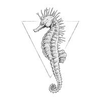 Komar Poster Sea Horse White Tiere B/L: ca. 30x40 cm Sea Horse White - (30,00/40,00cm) - Komar