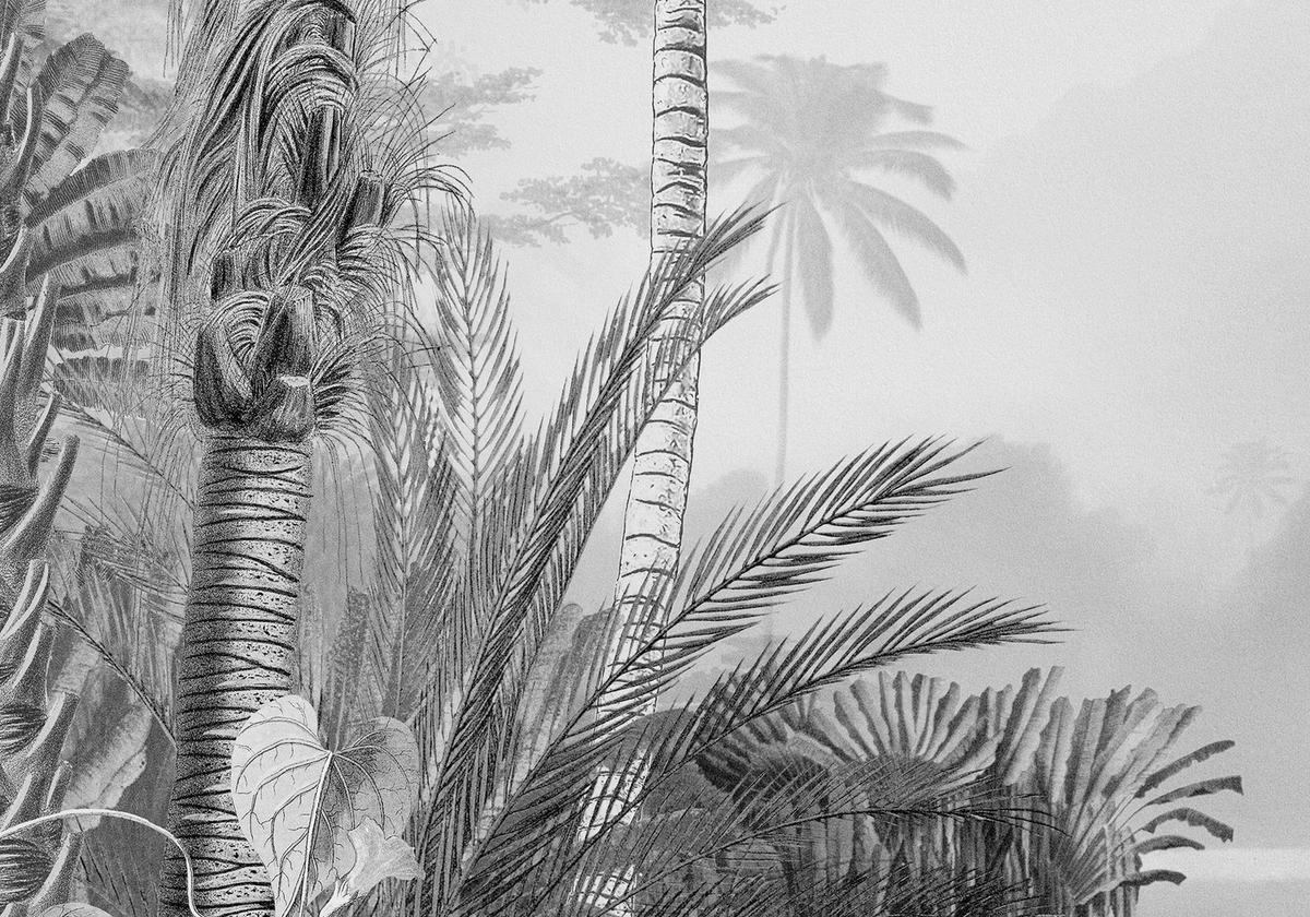 Komar Fototapete Lac Tropical Black & White B/L: ca. 200x270 cm Lac Tropical Black & White - (200,00/270,00cm) - Komar