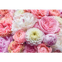 Komar Fototapete Vibrant Spring 8-335 B/H: ca. 368x254 cm Vibrant Spring 8-335 - (368,00/254,00cm) - Komar