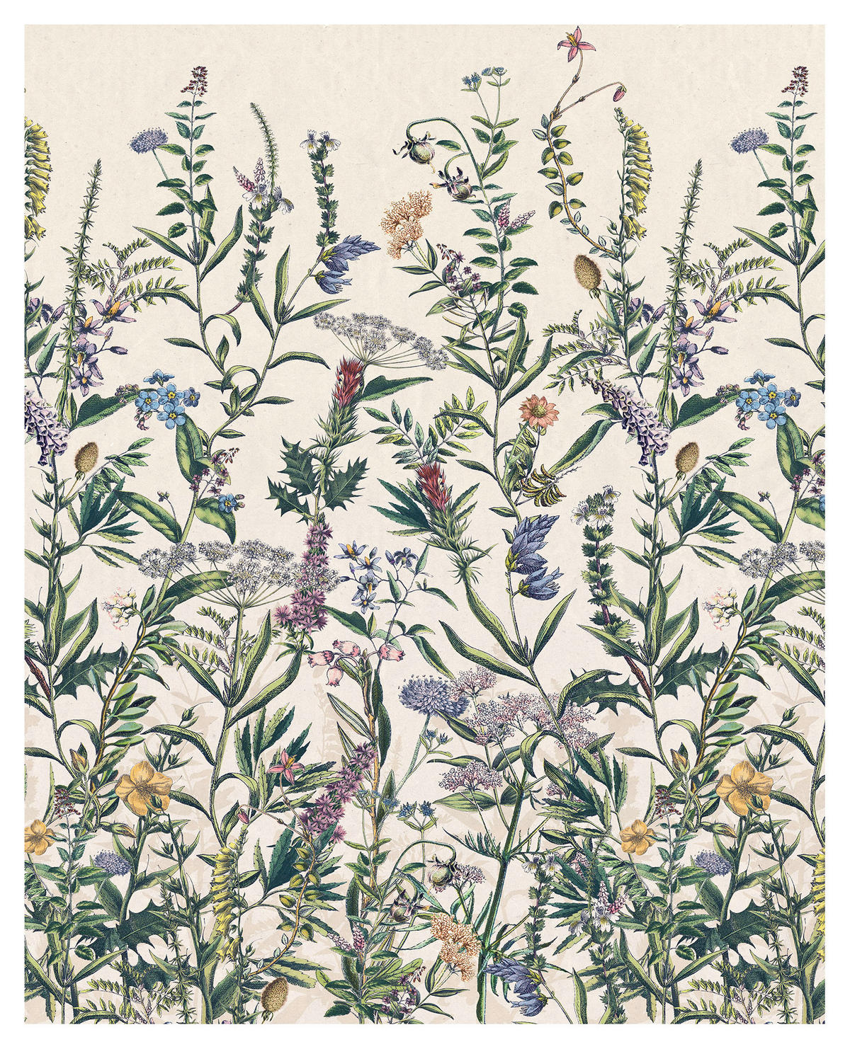 Komar Fototapete Flowering Herbs Blumen B/L: ca. 200x250 cm Flowering Herbs - (200,00/250,00cm) - Komar