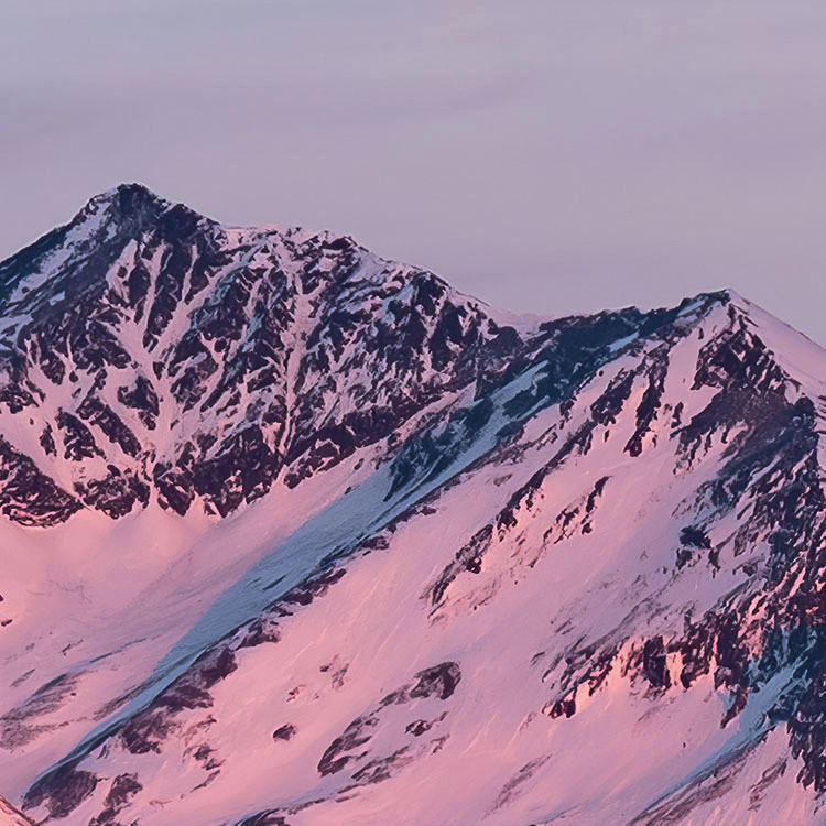 Komar Fototapete Purple Dinner B/L: ca. 450x280 cm Purple Dinner - (450,00/280,00cm) - Komar