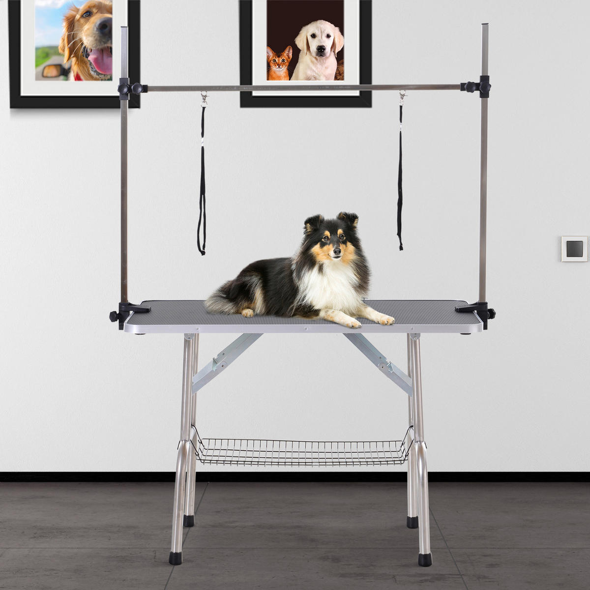 PawHut Hundetrimmtisch schwarz Gummi B/H/L: ca. 60x170x107 cm Hundetrimmtisch - schwarz (107,00/60,00/170,00cm) - PawHut