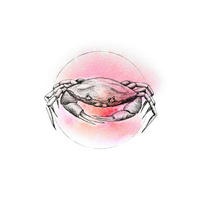 Komar Poster Crab Watercolor Tiere B/L: ca. 50x70 cm Crab Watercolor - (50,00/70,00cm) - Komar