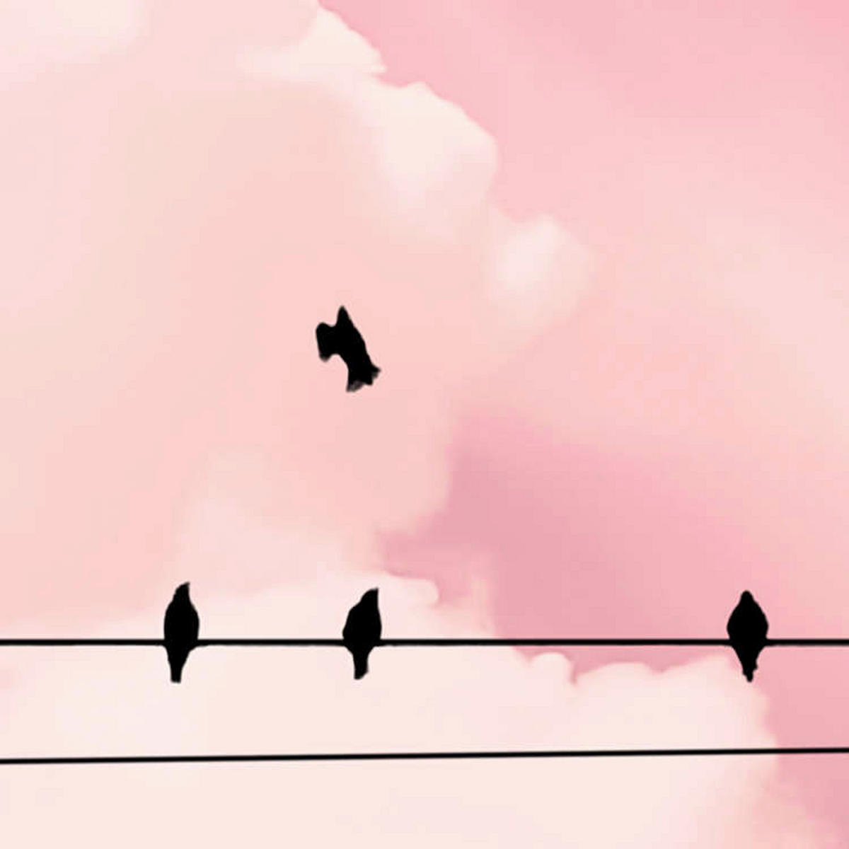 Komar Fototapete Cloud Wire B/L: ca. 400x250 cm Cloud Wire - (400,00/250,00cm) - Komar