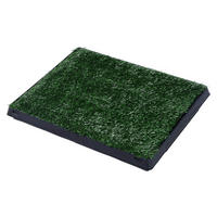 PawHut Welpentoilette grün Kunststoff B/H/L: ca. 63x6x51 cm Welpentoilette - schwarz/grün (51,00/63,00/6,00cm) - PawHut