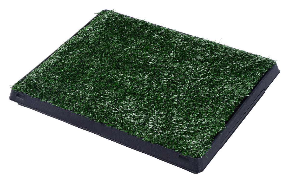 PawHut Welpentoilette grün Kunststoff B/H/L: ca. 63x6x51 cm Welpentoilette - schwarz/grün (51,00/63,00/6,00cm) - PawHut