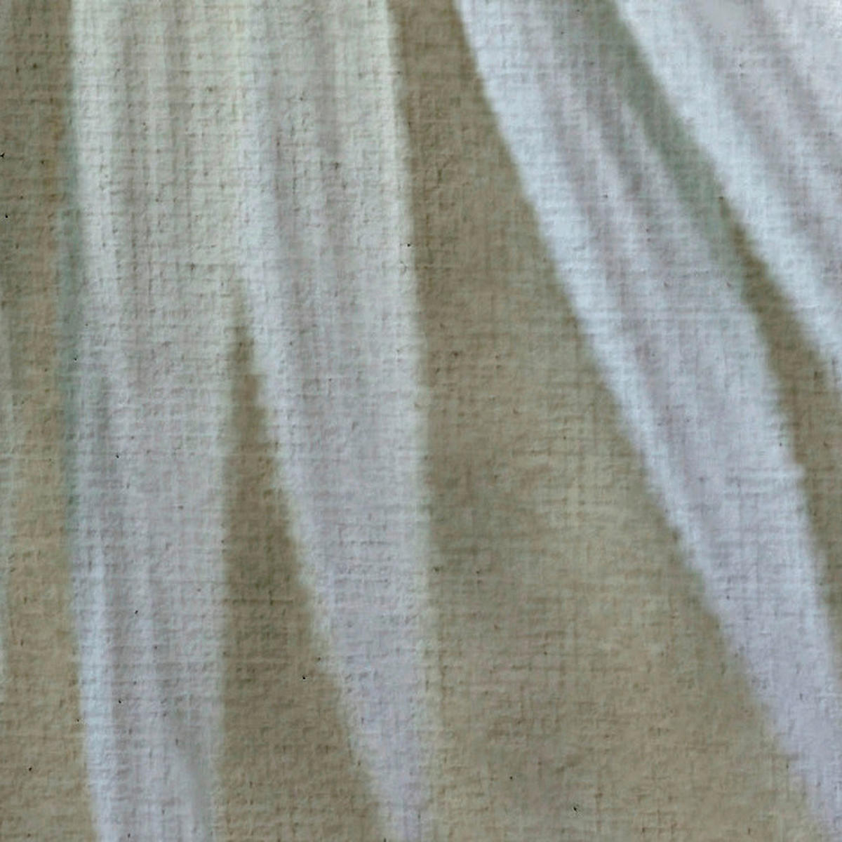 Komar Fototapete Vague Botany B/L: ca. 200x250 cm Vague Botany - (200,00/250,00cm) - Komar