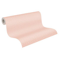 A.S.Creation Vliestapete Trendwall 2 Abstrakt rosa B/L: ca. 53x1005 cm Trendwall 2 - rosa (53,00/1005,00cm) - A.S.Creation