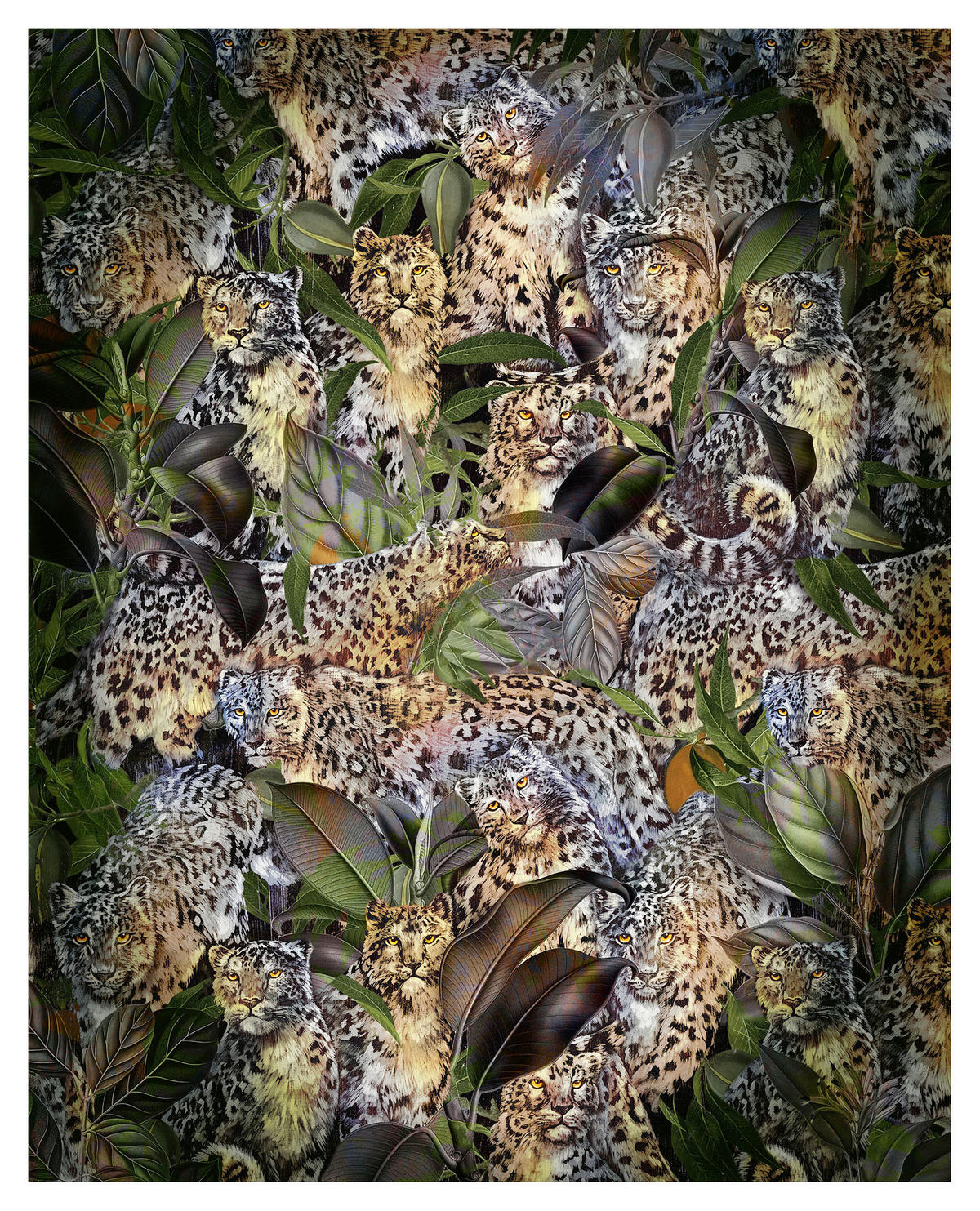 Komar Fototapete Wild Cats Tiger B/L: ca. 200x250 cm Wild Cats - (200,00/250,00cm) - Komar