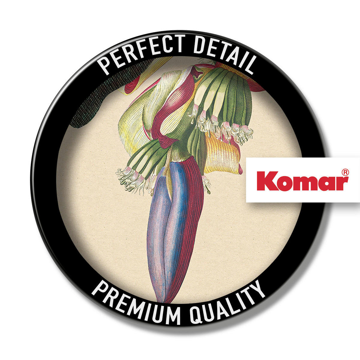 Komar Poster Banana Heart Pflanzen B/L: ca. 50x70 cm Banana Heart - (50,00/70,00cm) - Komar