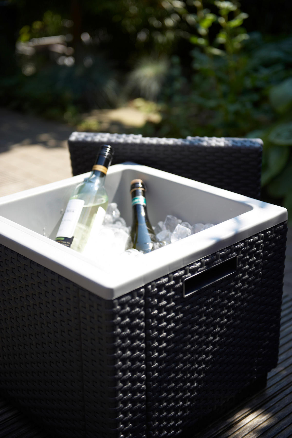 Allibert Kühlbox Ice-Cube B/H/L: ca. 42x41x42 cm Ice-Cube - Graphit (42,00/42,00/41,00cm) - Allibert
