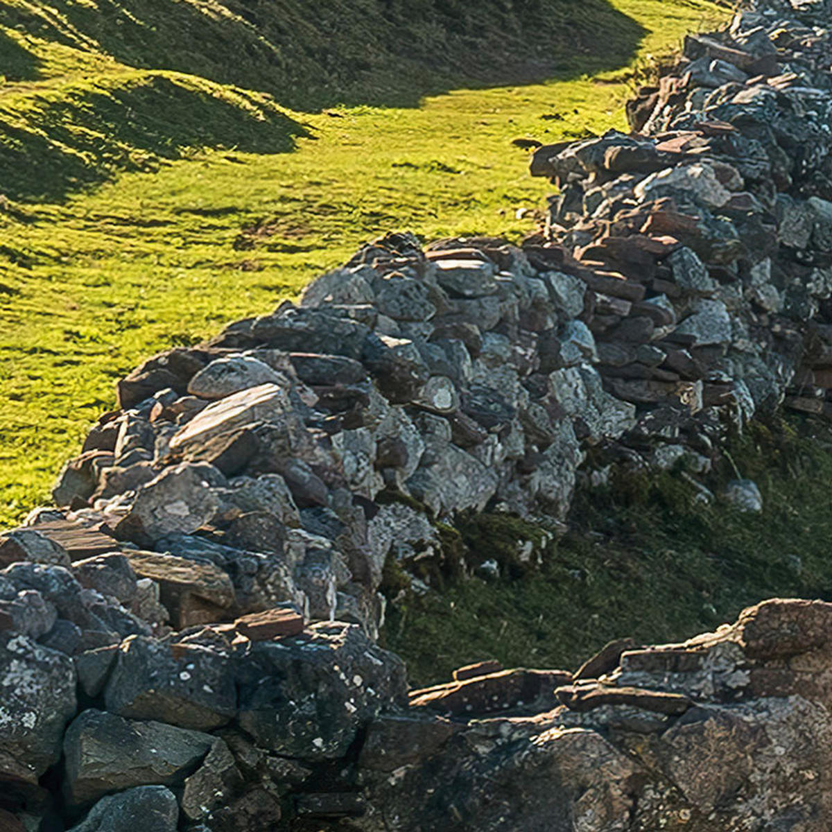 Komar Fototapete Picos de Europe Alm B/L: ca. 450x280 cm Picos de Europe Alm - (450,00/280,00cm) - Komar