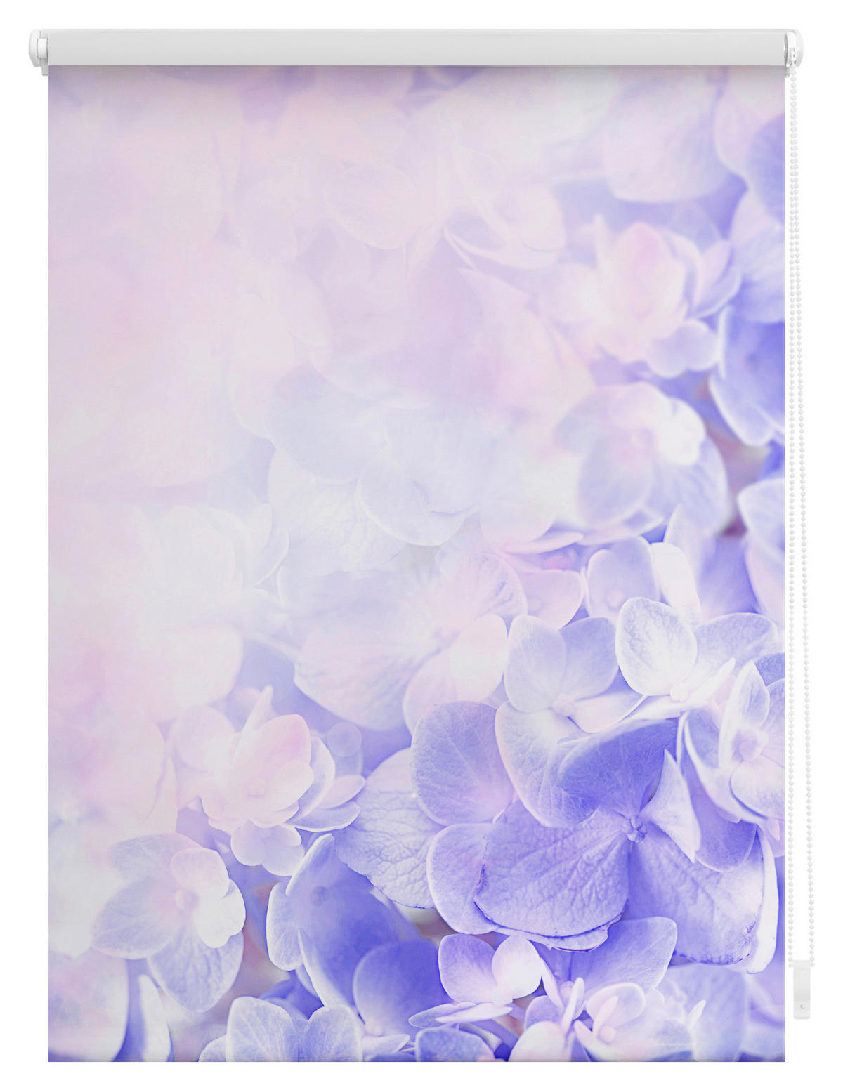 Verdunkelungsrollo Hortensie lila B/L: ca. 60x150 cm Hortensie - lila (60,00/150,00cm) - LICHTBLICK